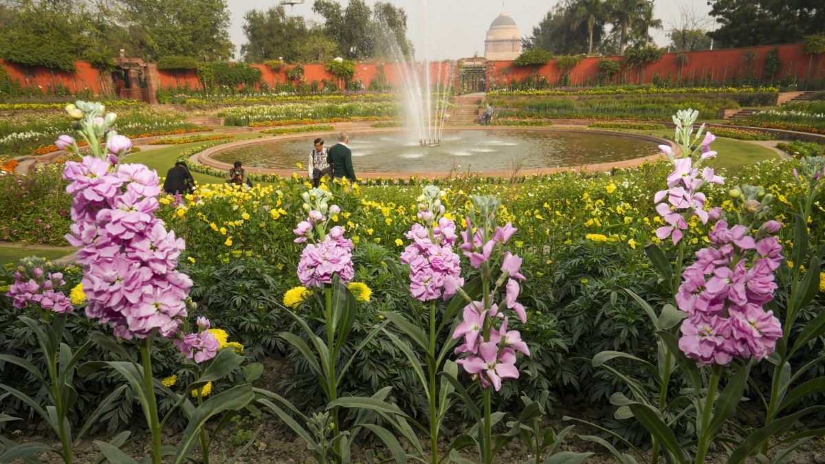 राष्ट्रपति भवन का अमृत उद्यान कल से आम जनता के लिए खुलेगा, जानें क्या रहेगी टाइमिंग और कहां से मिलेगा टिकट