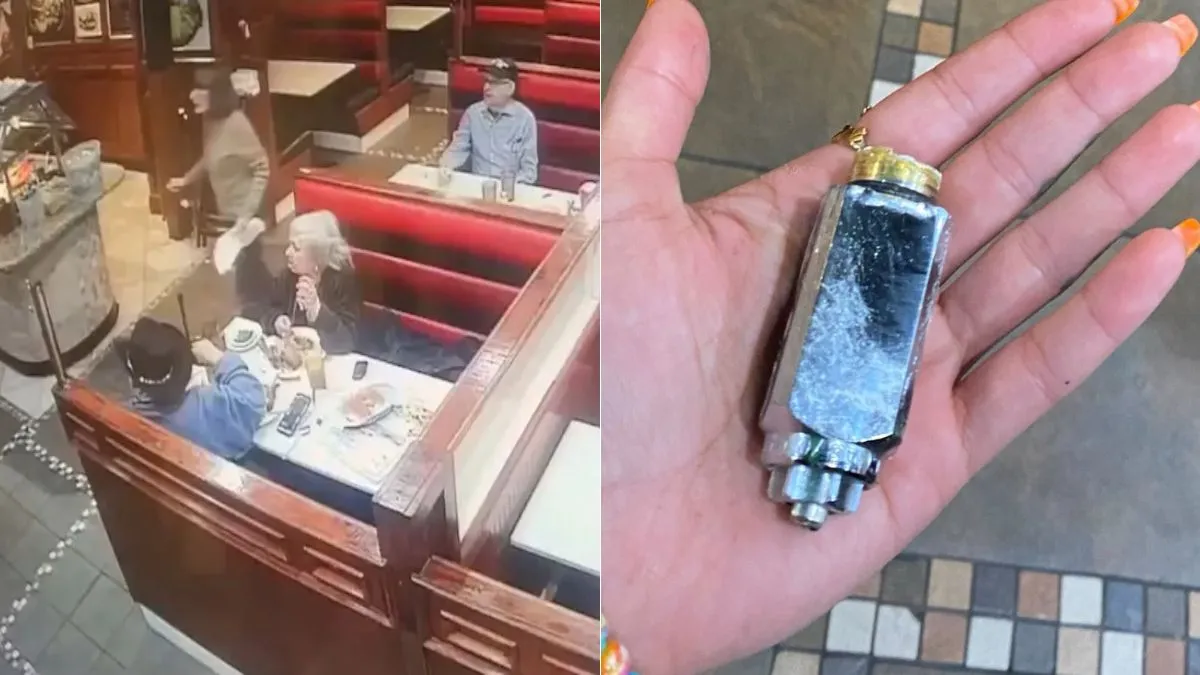 रेस्तरां में बैठे ग्राहक को जा लगा प्लेन का टुकड़ा- India TV Hindi