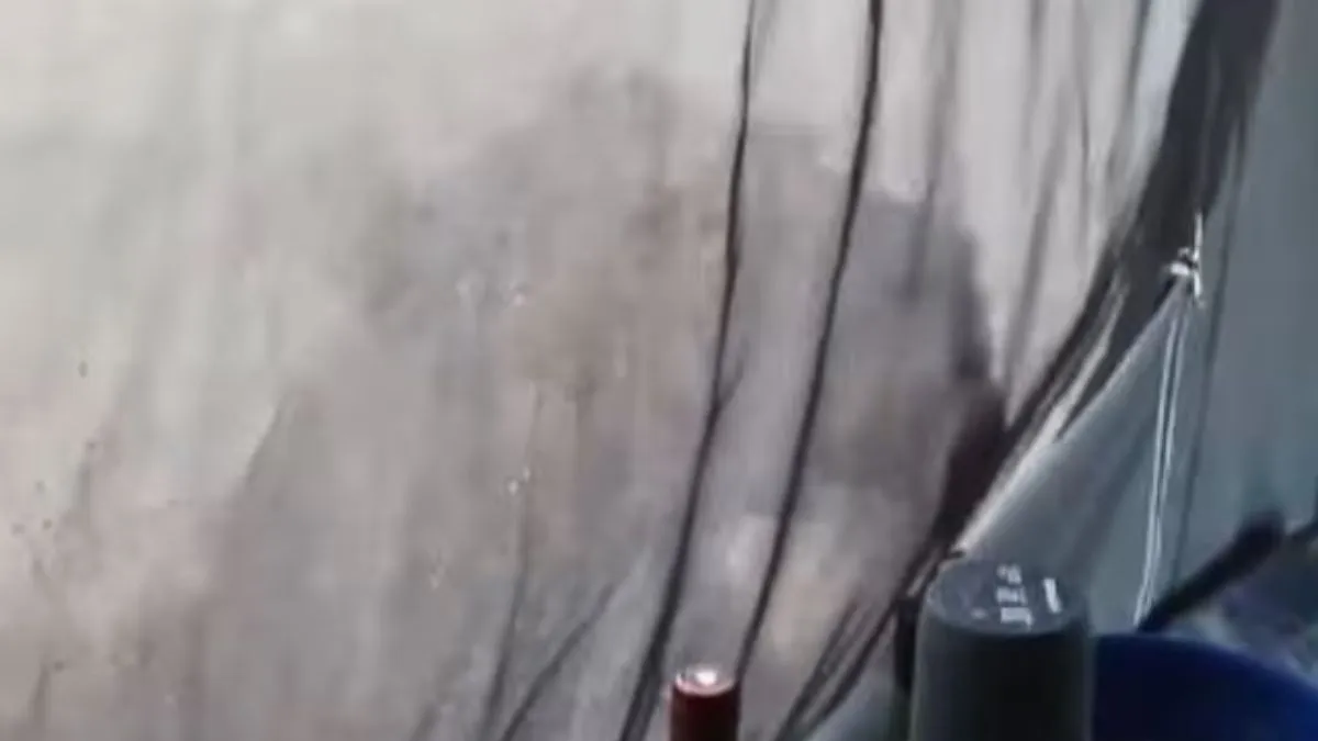 कैंप के बाहर दिखा शेर- India TV Hindi