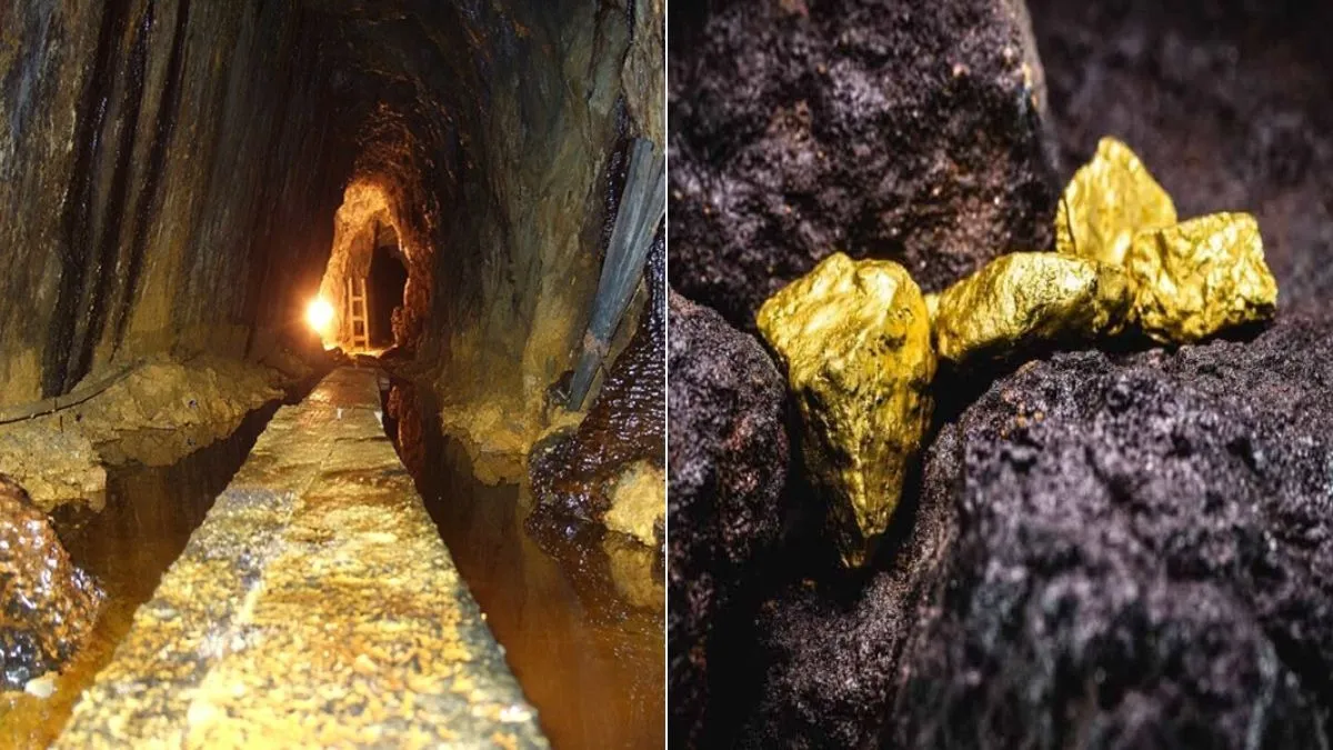 ओडिशा में मिले सोने के...- India TV Hindi