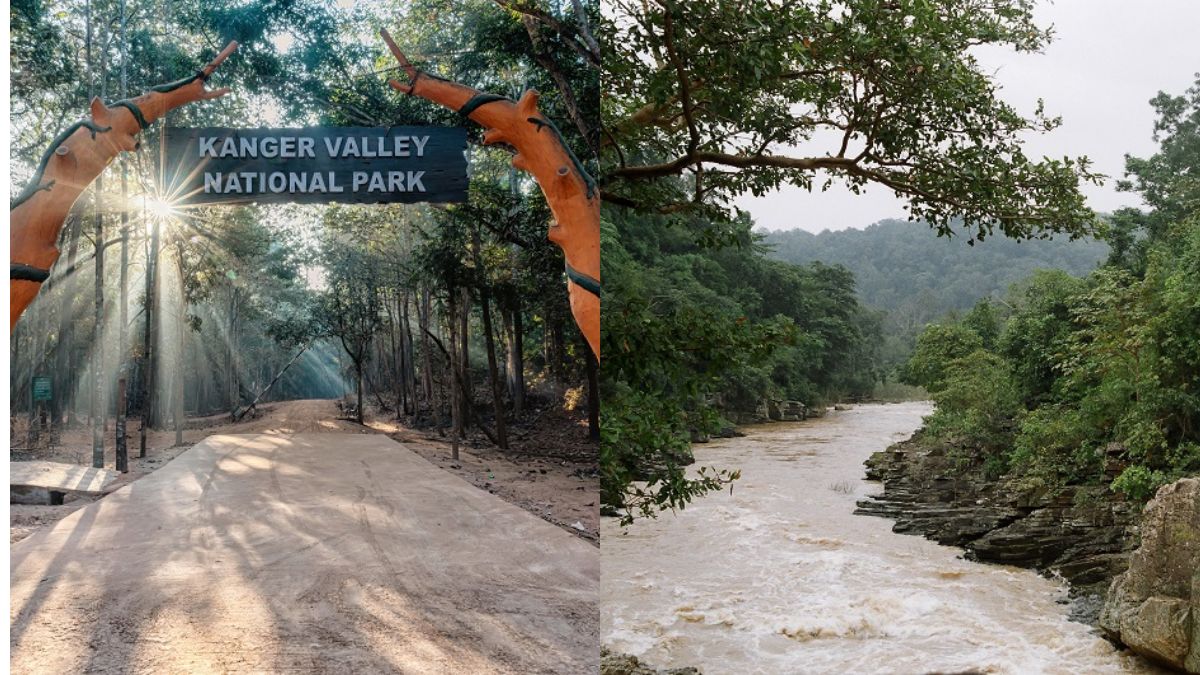 यूनेस्को की अस्थायी सूची में शामिल हुआ बस्तर का कांगेर घाटी राष्ट्रीय उद्यान, जानें क्या है खासियत