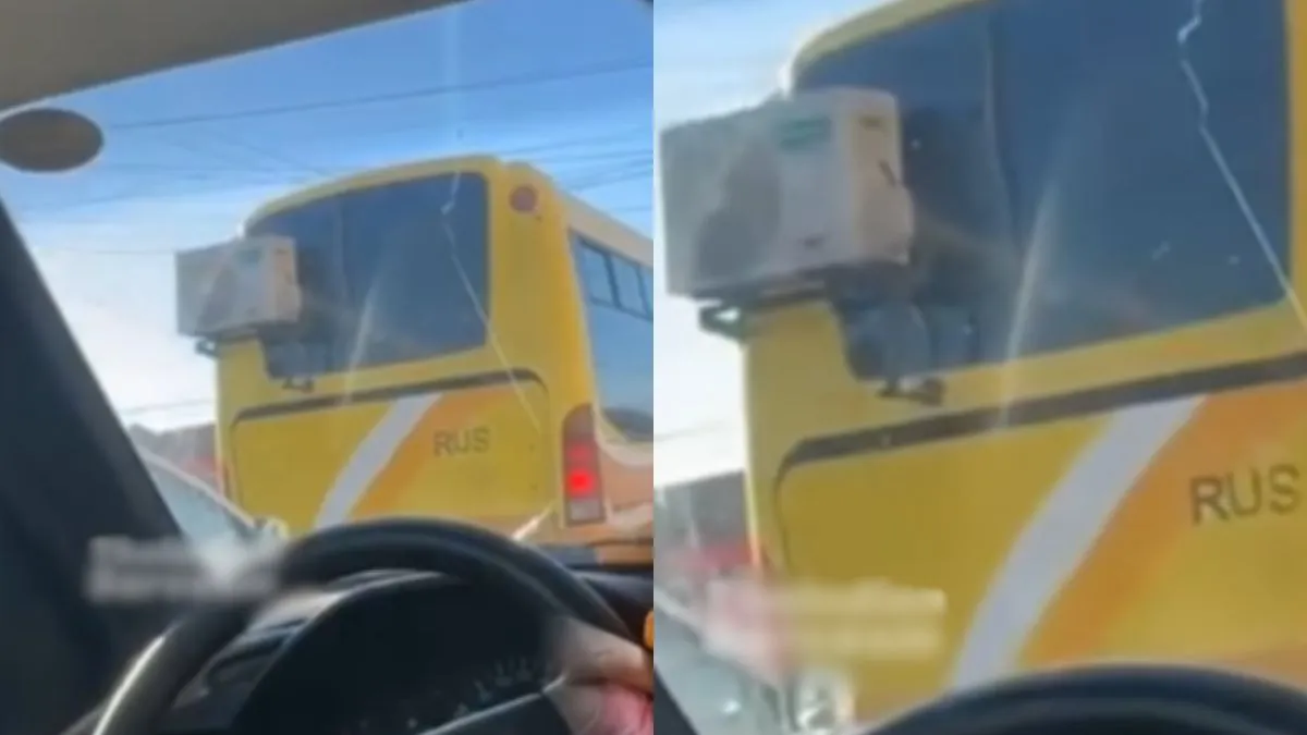 वायरल वीडियो का स्क्रीनशॉट- India TV Hindi