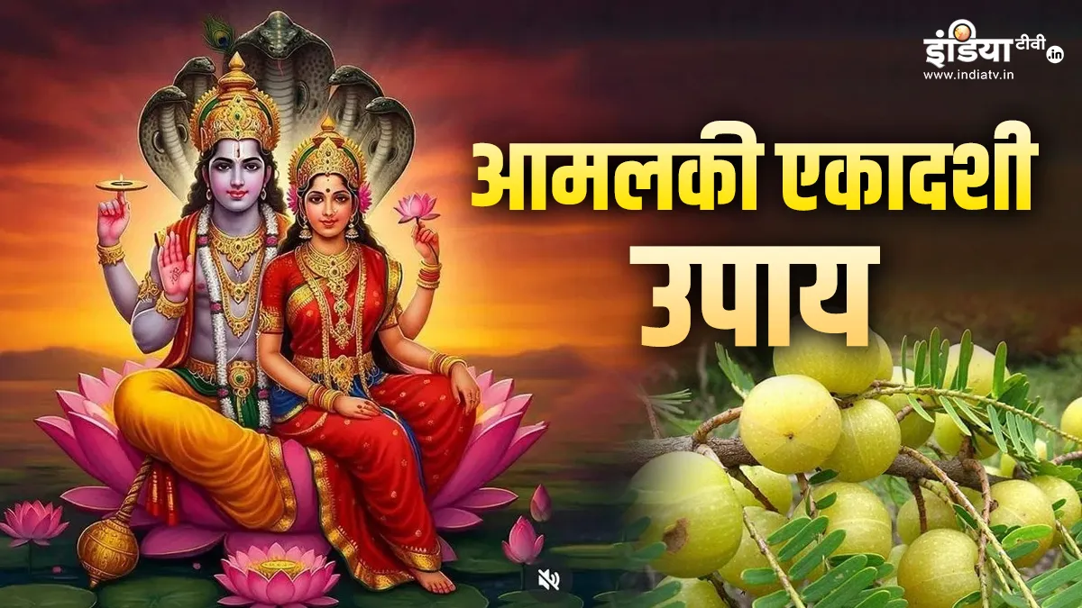 Amalaki Ekadashi Upay: आमलकी एकादशी के दिन जरूर करें ये उपाय, श्री हरि विष्णु मिटाएंगे हर पीड़ा, जीवन में वापस आएंगी खुशियां आमलकी एकादशी- India TV Hindi