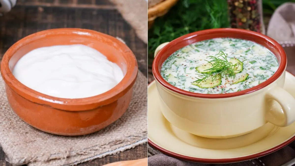 दही या फिर छाछ, गर्मियों के मौसम में सेहत के लिए किसका सेवन करना ज्यादा बेहतर? दही या छाछ- India TV Hindi