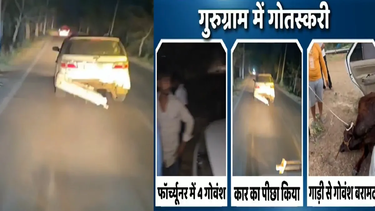 फॉर्च्यूनर कार से गौ तस्करी, बंपर टूटा और टायर भी निकला, फिर भी भगाते रड़े गाड़ी, पुलिस एक्शन का LIVE VIDEO गौ तस्करों का पीछा करती हुई पुलिस - India TV Hindi