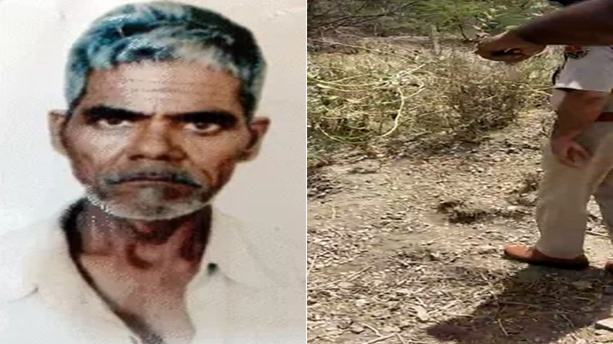 राजस्थान: कुत्ते चबा रहे थे बुजुर्ग का कंकाल, 9 दिन से लापता थे; ब्याज पर पैसे देने का करते थे काम