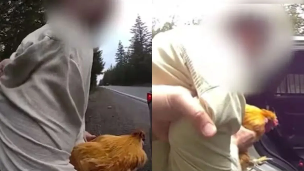 शख्स को पुलिस ने किया गिरफ्तार- India TV Hindi