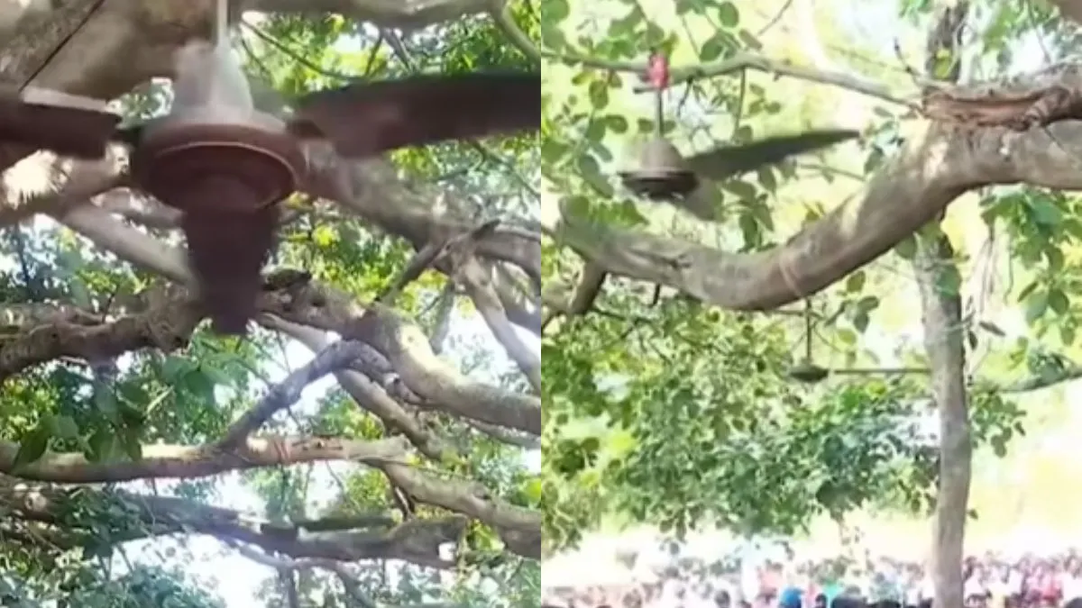 गांव वाले भी कम नहीं है! वायरल Video देख आप भी हो जाएंगे हैरान, लोगों ने भी किया रिएक्ट वायरल वीडियो का स्क्रीनशॉट- India TV Hindi