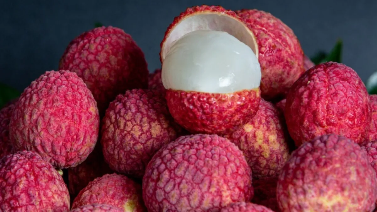 लीची की तासीर कैसी होती है, जान लीजिए इस फल को खाने से शरीर पर क्या असर पड़ता है? लीची की तासीर- India TV Hindi