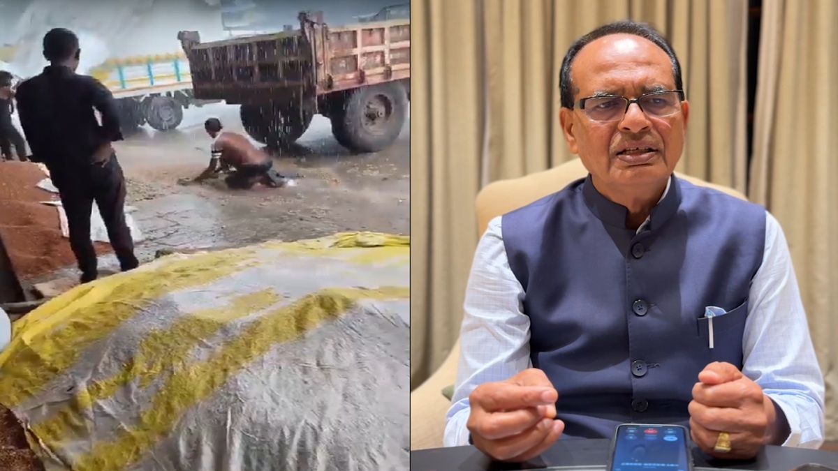 VIDEO: बारिश से अपनी मूंगफली को बचा रहा था किसान, कृषि मंत्री शिवराज चौहान ने की फोन पर उससे बात, जानिए क्या कहा?