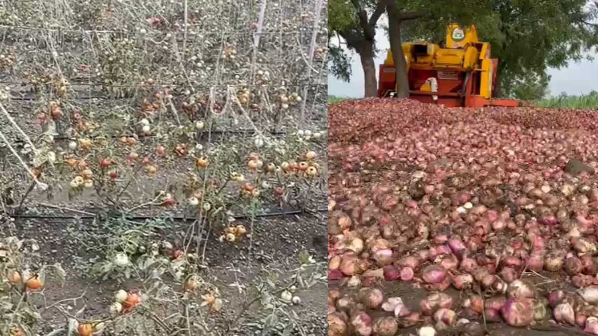 VIDEO: महाराष्ट्र में बारिश ने मचाया जबरदस्त तांडव, 21 की निगल ली जान; किसानों की फसल भी बर्बाद VIDEO: महाराष्ट्र में बारिश ने मचाया जबरदस्त तांडव, 21 की निगल ली जान; किसानों की फसल भी बर्बाद