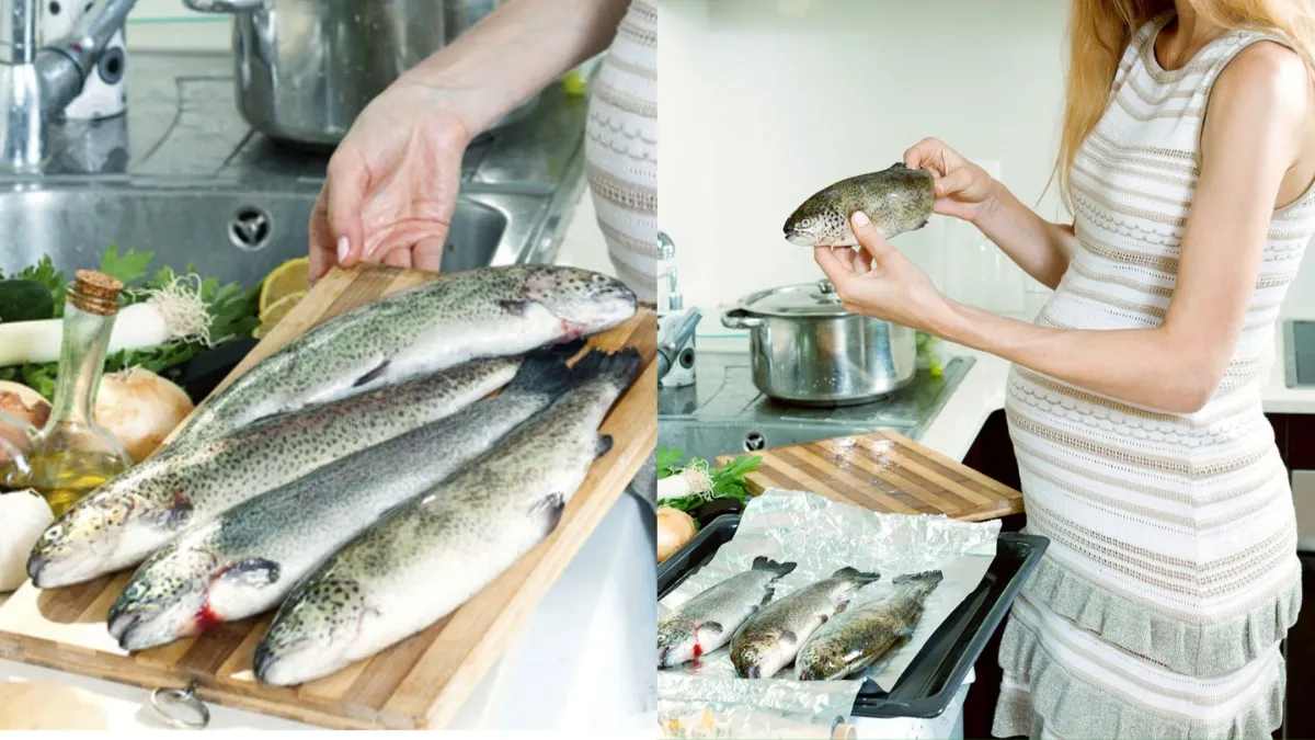 प्रेगनेंसी में मछली का सेवन है सेहत के लिए नुकसानदायक, जानें हो सकती हैं कौन सी परेशानियां? प्रेगनेंसी में मछली का सेवन- India TV Hindi
