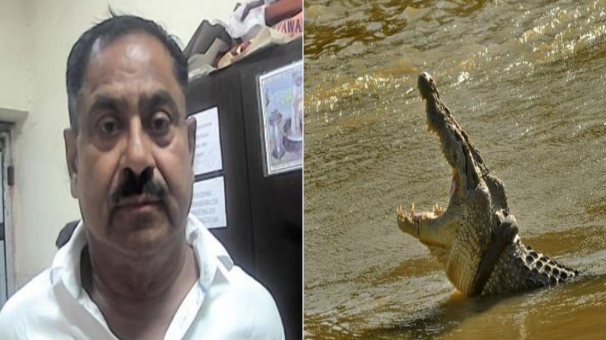 टैक्सी ड्राइवरों की हत्या कर मगरमच्छों को खिलाता था लाशें, हैरान कर देगी ‘डॉक्टर डेथ’ की कहानी, ऐसे पकड़ा गया