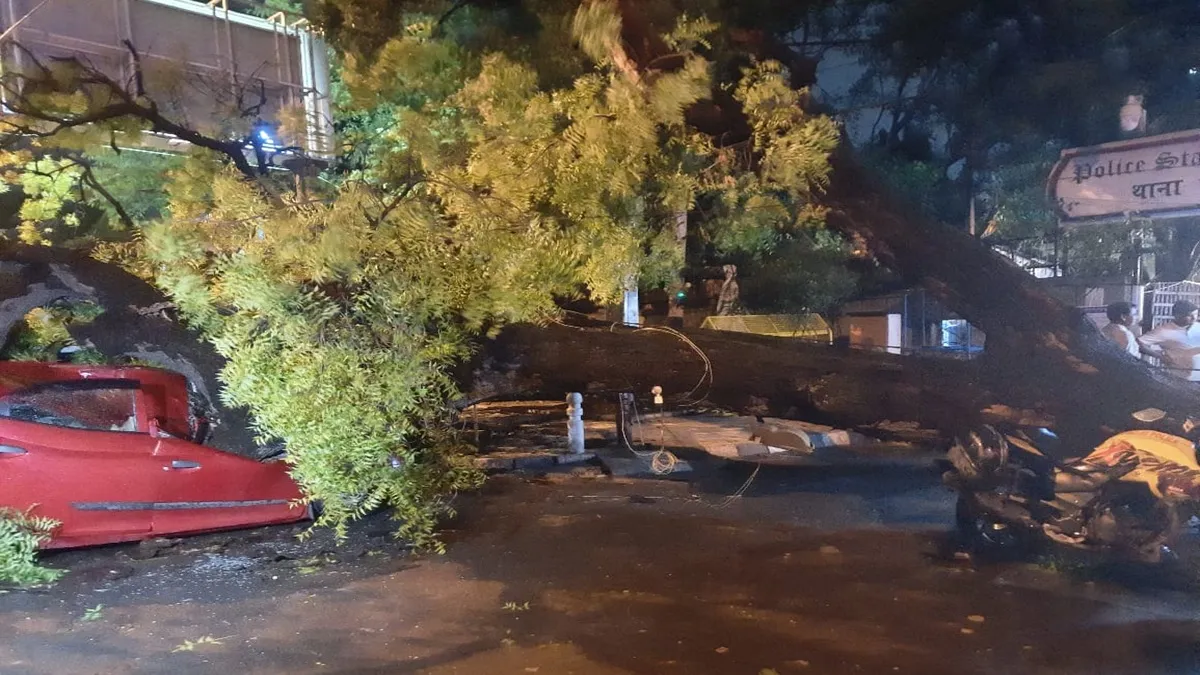 दिल्ली में आंधी-बारिश के बीच पेड़ उखड़े, 1 की मौत, कहां-कहां हुई बत्ती गुल? BSES और टाटा पावर का आया बयान delhi rain- India TV Hindi
