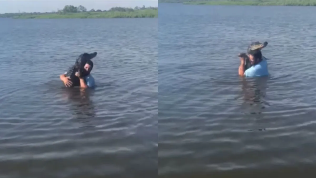 साहस या सनक! मगरमच्छ को पानी से निकाल शख्स ने लगा लिया गले, Video देख हक्के-बक्के रह गए लोग मगरमच्छ को गले से लगाए शख्स- India TV Hindi