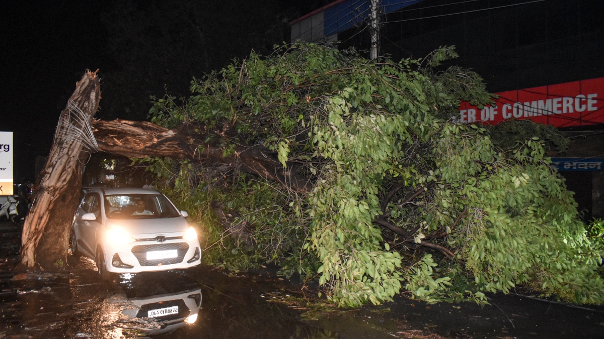 उत्तर प्रदेश में आंधी से अब तक 3 लोगों की मौत और कई घायल, CM योगी ने अधिकारियों को जारी किया निर्देश उत्तर प्रदेश में आंधी से अब तक 3 लोगों की मौत और कई घायल, CM योगी ने अधिकारियों को जारी किया निर्देश
