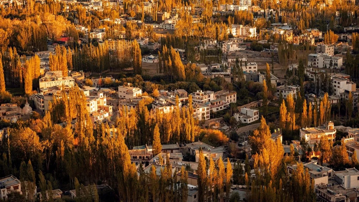 1 अप्रैल 2026 से शुरू होगा जनगणना का पहला फेज, पहली बार होगी डिजिटल सुविधा, जानें डिटेल यहां प्रतीकात्मक फोटो- India TV Hindi