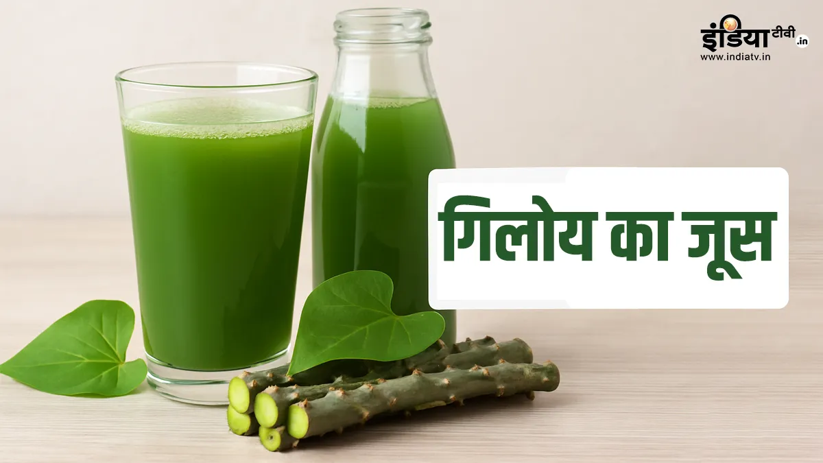 किन-किन लोगों को नहीं पीना चाहिए गिलोय का जूस, सेहत को पहुंच सकता है नुकसान गिलोय का जूस पीने के साइड इफेक्ट्स- India TV Hindi