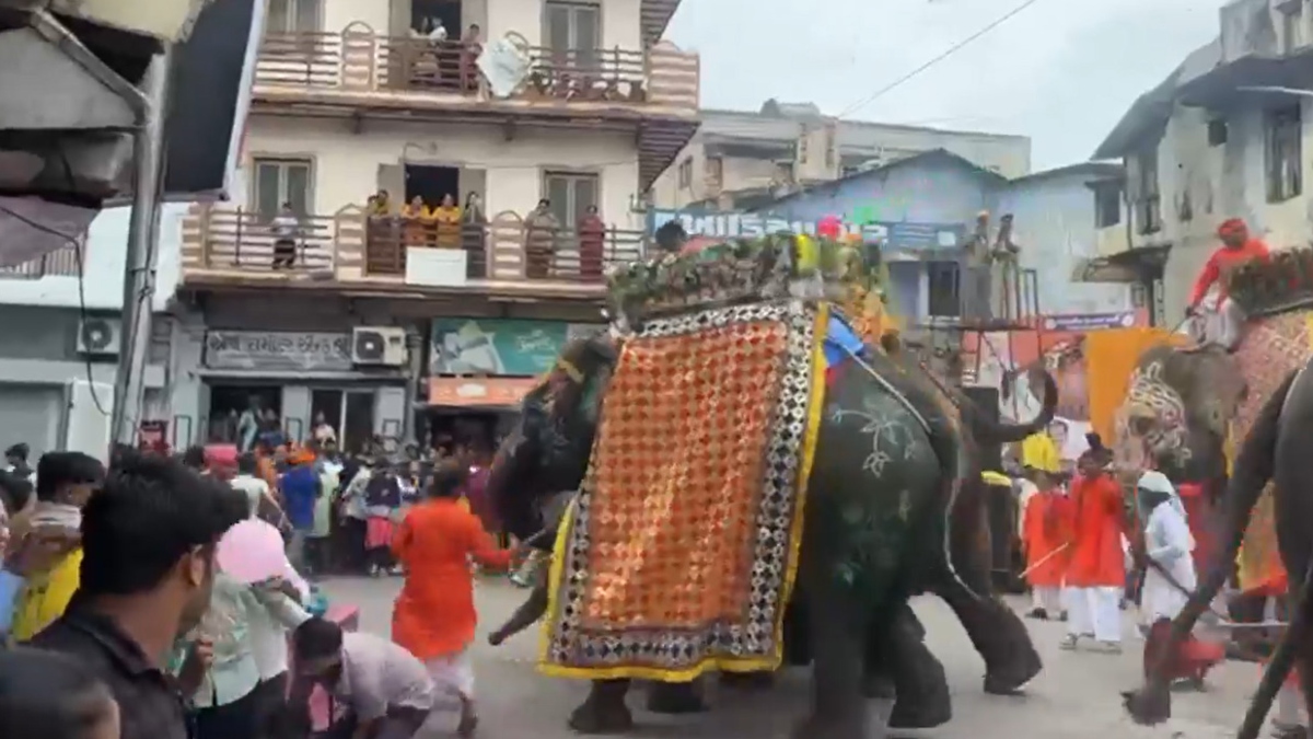 अहमदाबाद: रथयात्रा में शामिल हाथी हुआ बेकाबू, वन विभाग के अमले ने काबू किया, घटना का वीडियो भी सामने आया