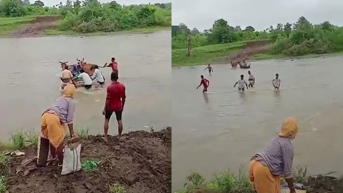 Video: प्रसव पीड़ा से परेशान थी महिला, ग्रामीणों ने बैलगाड़ी से पार कराई उफनती नदी, प्रशासन पर लगाए आरोप