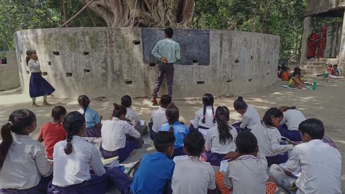 VIDEO: बिहार का अनोखा सरकारी स्कूल, जहां न बिल्डिंग, न ही बेंच; पेड़ के चारों ओर बने चबूतरे पर ब्लैक बोर्ड