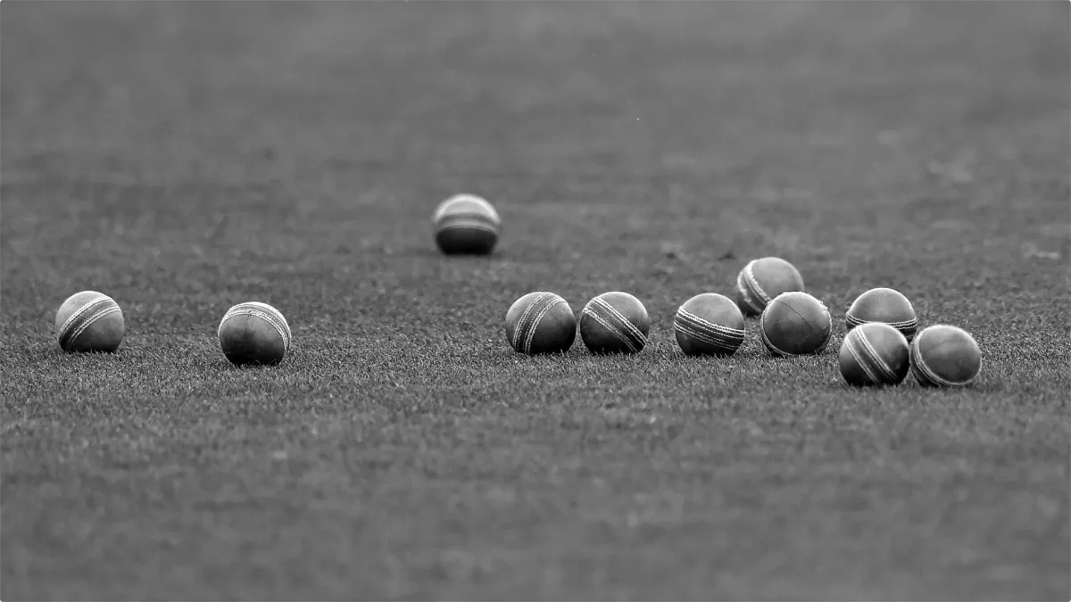 क्रिकेट जगत में शोक की लहर, अनोखे बॉलिंग एक्शन वाले गेंदबाज का अचानक हुआ निधन Cricket Balls- India TV Hindi