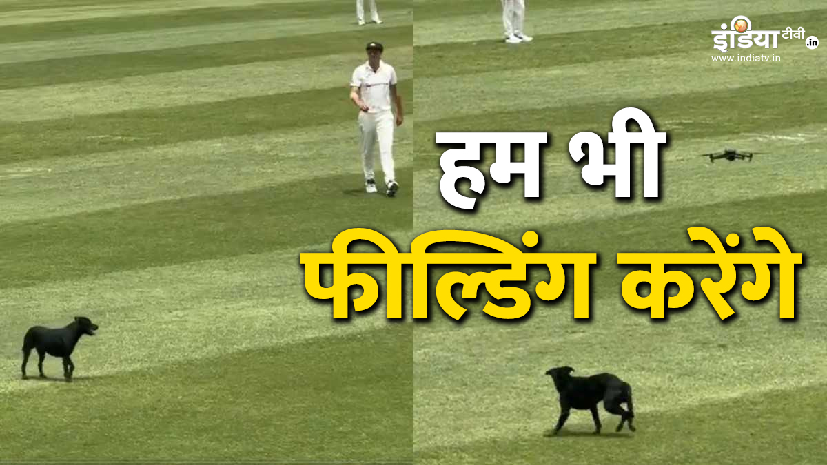 VIDEO: टेस्ट मैच में मैदान के अंदर अचानक आ गया कुत्ता, प्लेयर्स के बीच मची अफरातफरी