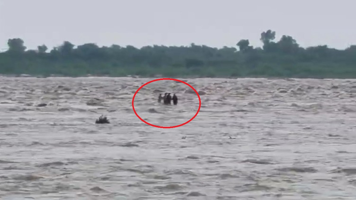 VIDEO: बीच मझधार में फंसे थे पिकनिक मना रहे 6 लोग, एक-एक कर बहते चले गए, सिर्फ 1 को बचाया जा सका