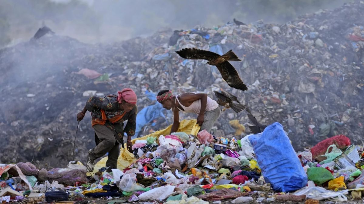 Explainer: पूरी दुनिया के लिए जानलेवा क्यों बने प्लास्टिक बैग? जानें, प्रति मिनट कितने बैग्स का होता है इस्तेमाल