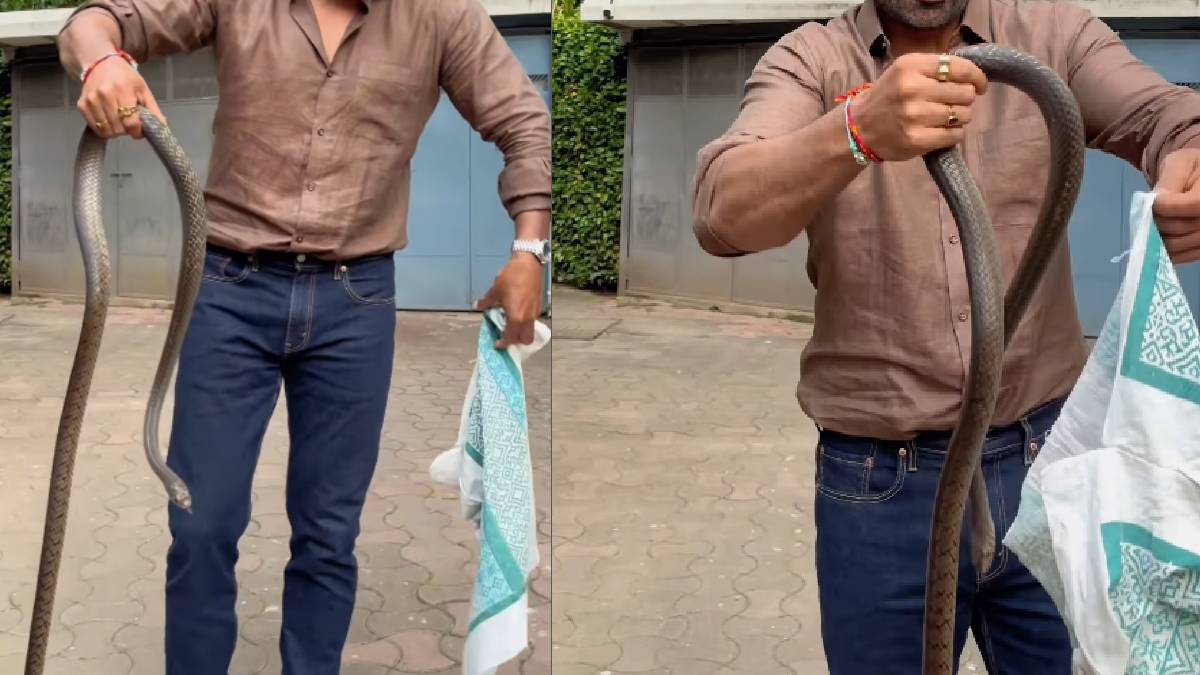 बॉलीवुड एक्टर की सोसाइटी में घुसा सांप, हाथ में उठाकर दिखाया ऐसा स्टंट बॉलीवुड एक्टर की सोसाइटी में घुसा सांप, हाथ में उठाकर दिखाया ऐसा स्टंट