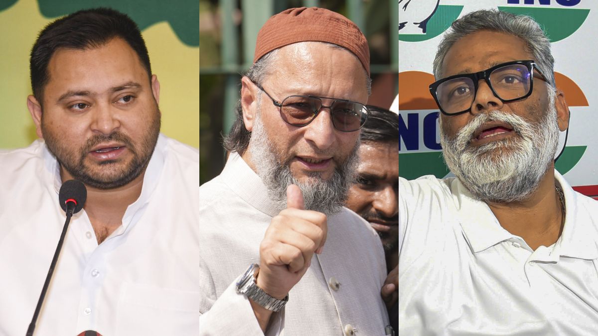 बिहार में वोटर वेरिफिकेशन पर इतना घमासान क्यों? विपक्ष क्यों मचा रहा बवाल?