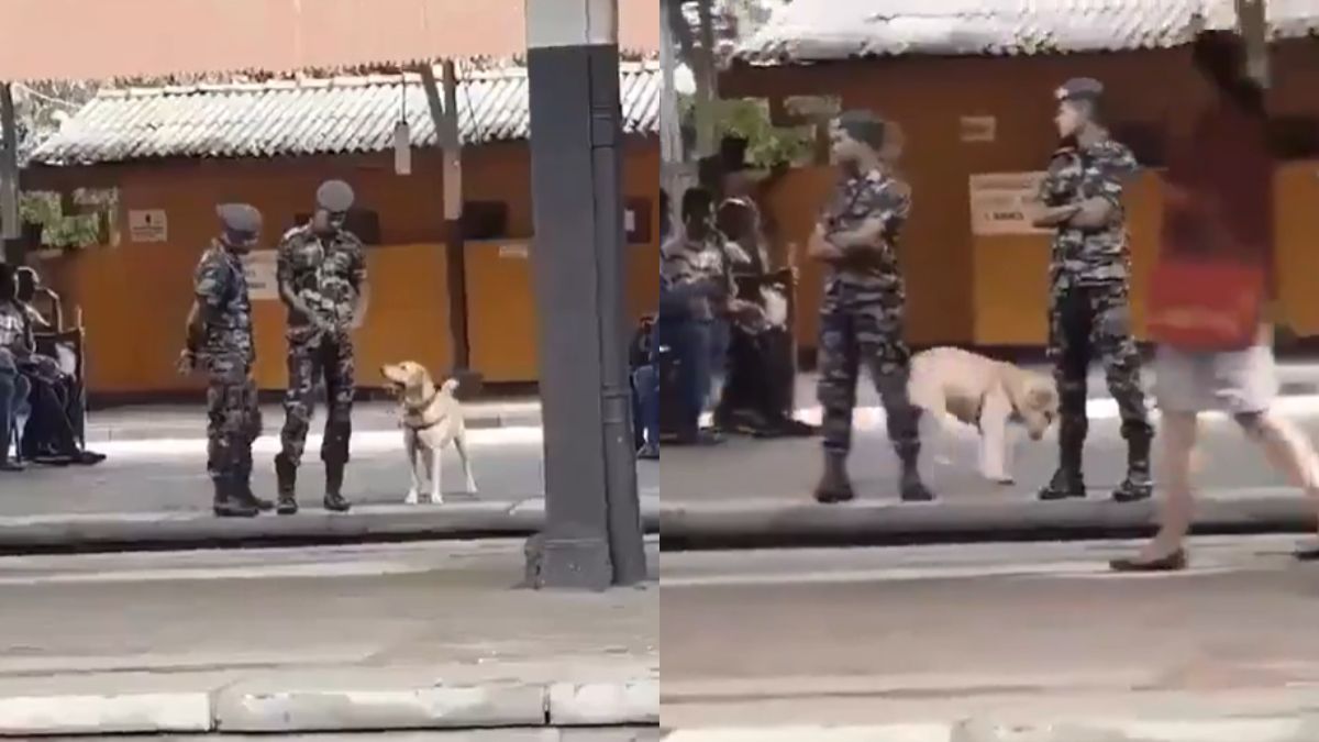Sorry सर, मैं थोड़ी देर के लिए एक सामान्य कुत्ता बन सकता हूँ? Army अफसरों के साथ खड़े कुत्ते की मस्ती तो देखिए जरा