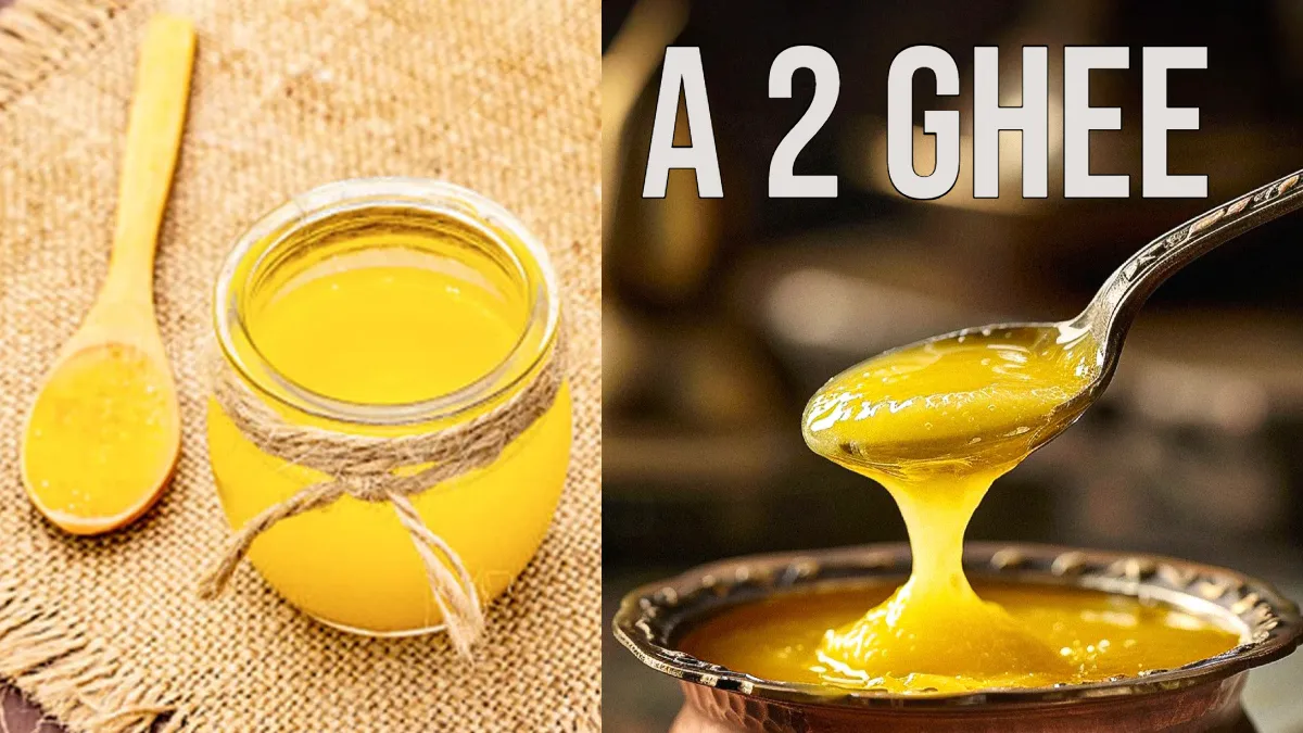 क्या होता है A2 घी, रोज खाने वाले से कितना अलग होता है, क्या हैं ए2 घी खाने के फायदे A2 घी क्या है- India TV Hindi