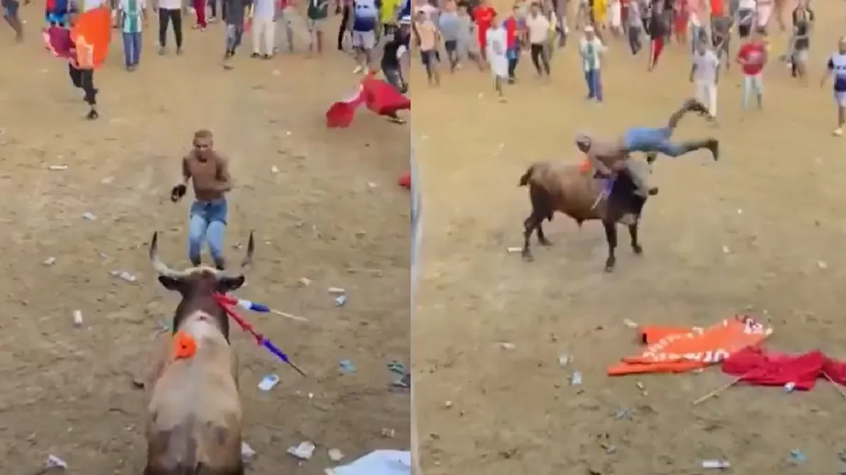 कोलंबिया में उत्सव के दौरान बुल फाइटर के चिढ़ाने पर भड़का सांड, फिर जो हुआ वो VIDEO में देखें कोलंबिया में बुलफाइटिंग फेस्टिवल- India TV Hindi
