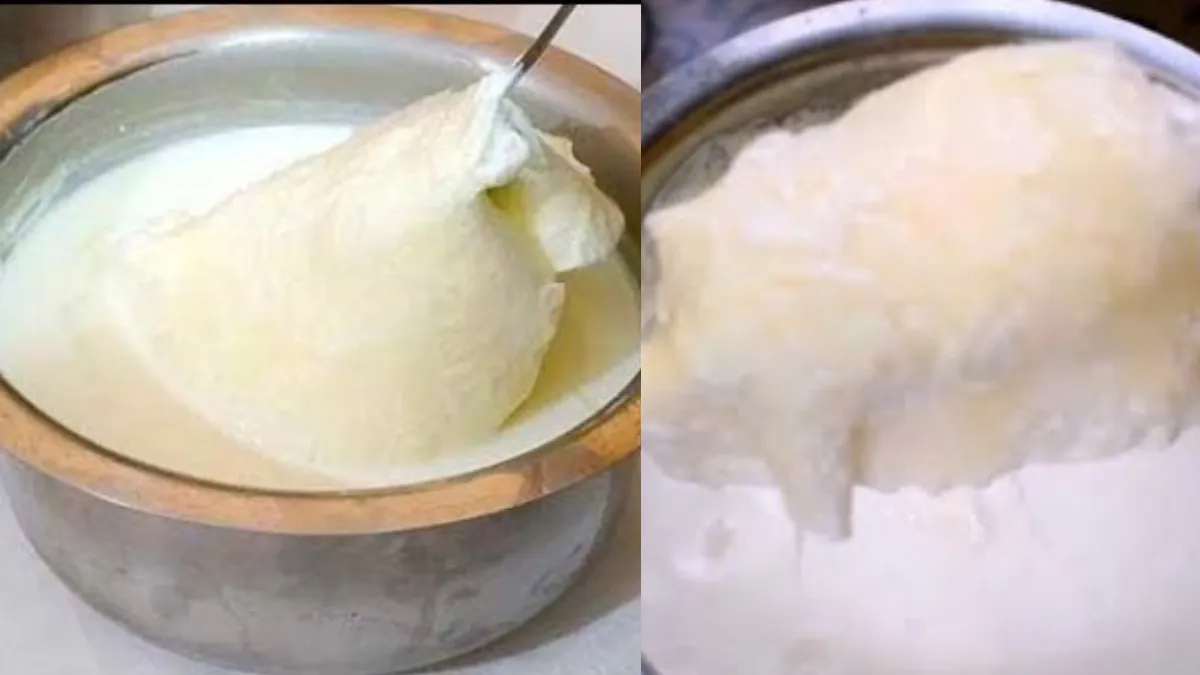दूध पर जमेगी रोटी से भी मोटी मलाई, सिर्फ उबलते वक्त अपना लें ये ट्रिक, खूब निकलेगा घी दूध में मोटी मलाई कैसे बनाएं- India TV Hindi