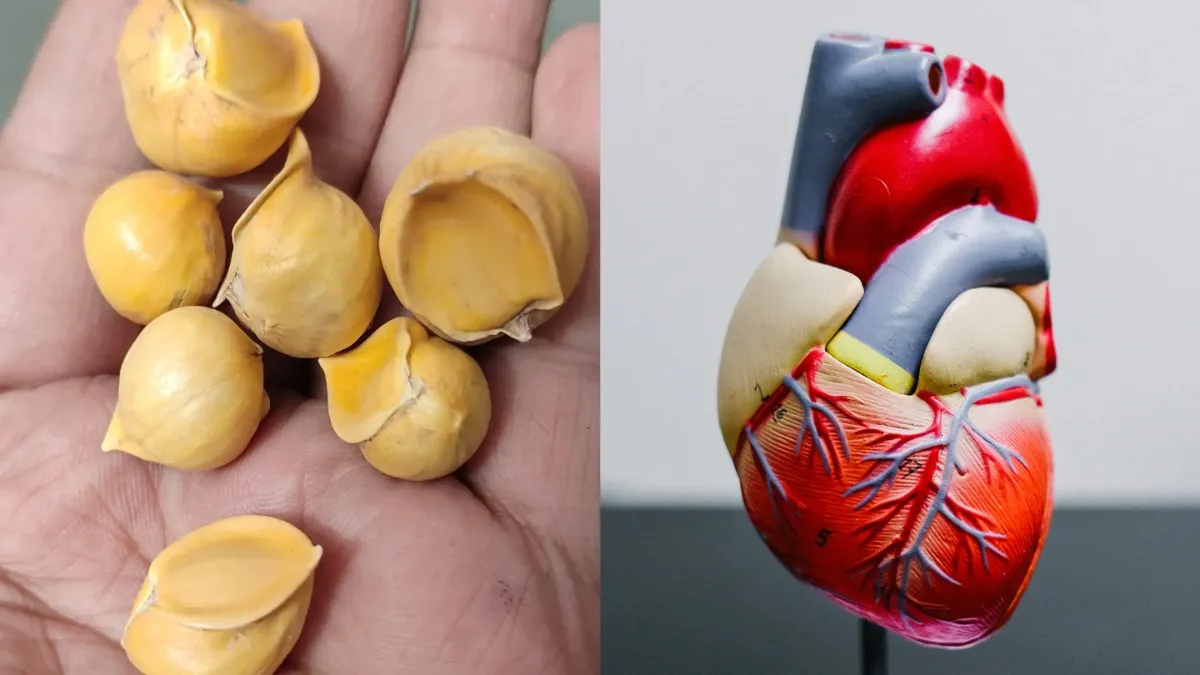 नसों में चिपके गंदे से गंदे कोलेस्ट्रॉल को छानकर बाहर निकाल देता है कश्मीरी लहसुन, जानें कब और कैसे करें इस्तेमाल? कोलेस्ट्रॉल के लिए कश्मीरी लहसुन के फायदे- India TV Hindi