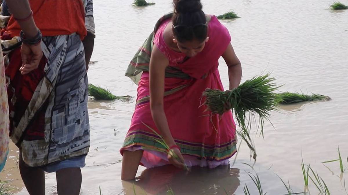 TV की नंबर 1 हीरोइन, एक्टिंग छोड़ करने लगी थी खेती, फिर अध्यात्म को लगाया गले