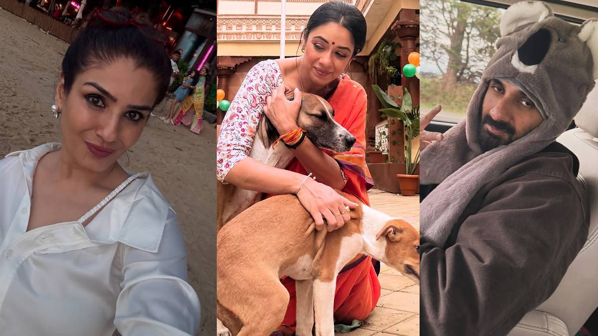 ‘डोगेश भाई तुम आगे बढ़ो…’ आवारा कुत्तों पर सुप्रीम कोर्ट के फैसले पर झूमे सेलेब्स