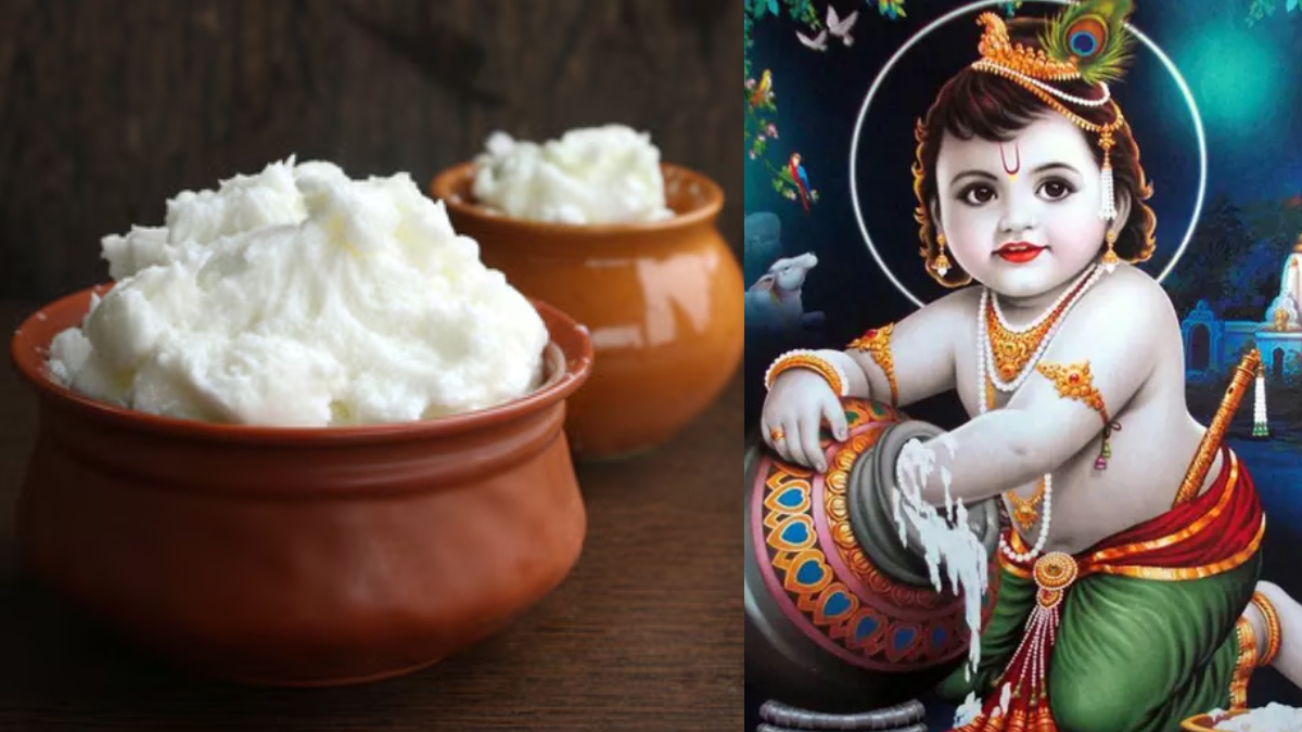 माखन मिश्री कैसे तैयार करें, दूध की मलाई से निकल जाएंगा 1 कटोरी ताजा सफेद मक्खन, अपना लें ये आसान तरीका