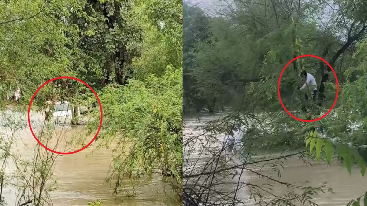 बाढ़ के पानी में बह गई कार, एक की मौत, दूसरे ने पेड़ पर चढ़कर बचाई जान-VIDEO बाढ़ के पानी में बह गई कार, एक की मौत, दूसरे ने पेड़ पर चढ़कर बचाई जान-VIDEO