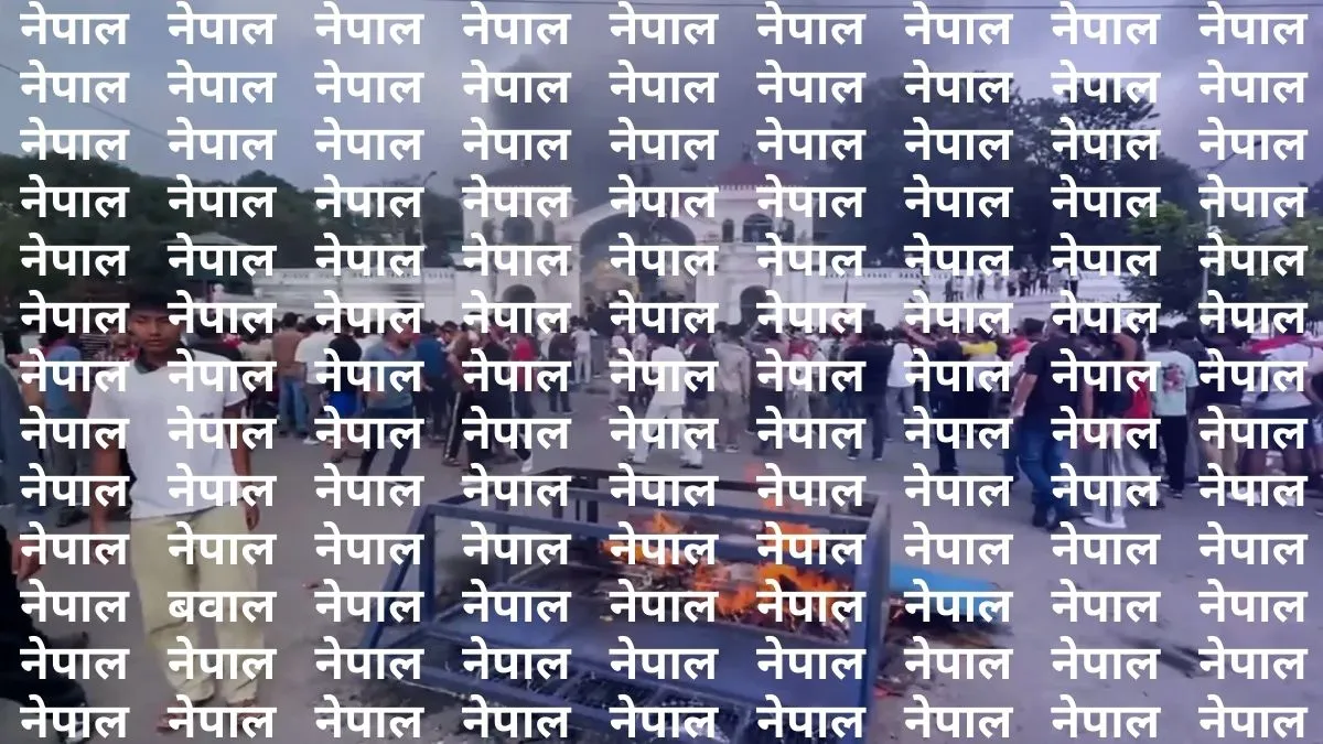 इस फोटो में ढूंढ़ना है...- India TV Hindi