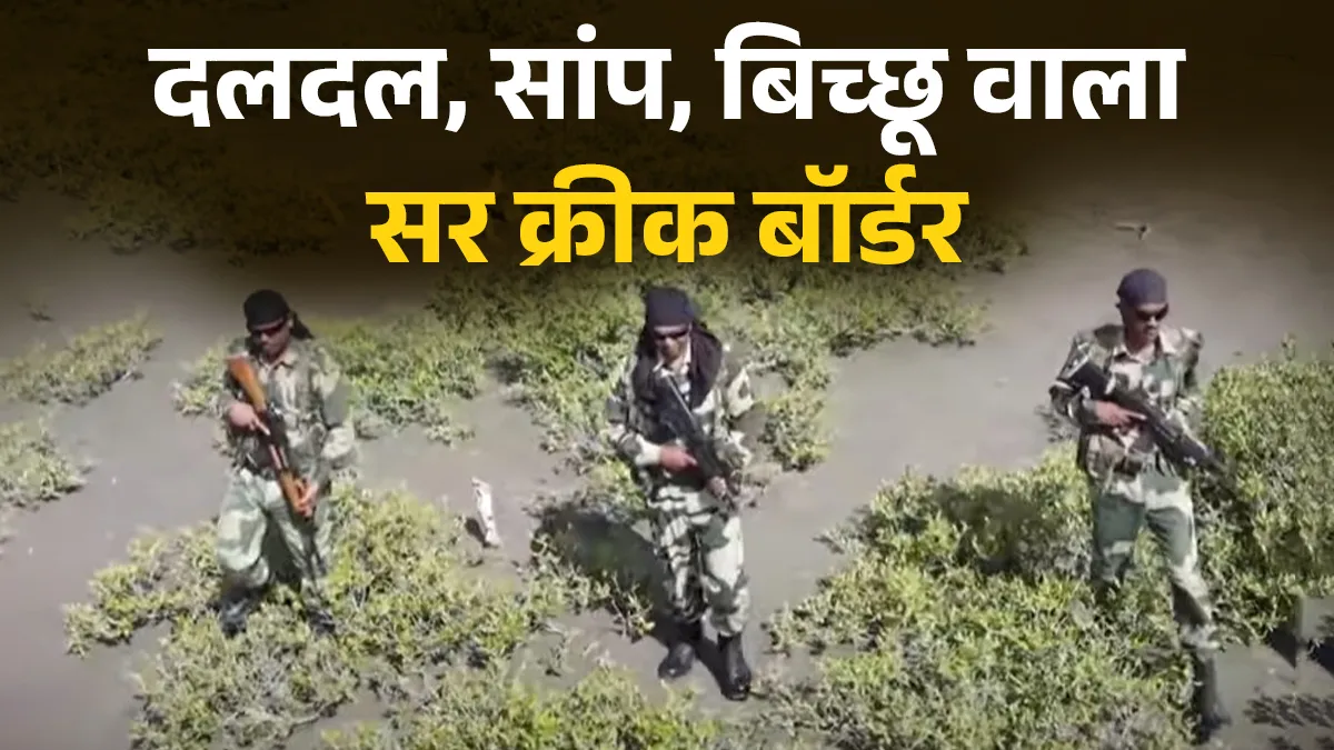 Explainer: 'इतिहास-भूगोल बदल देंगे', सांप-बिच्छू, दलदल से भरे सर क्रीक को लेकर भारत ने पाकिस्तान को क्यों दी चेतावनी? सर क्रीक को लेकर विवाद - India TV Hindi