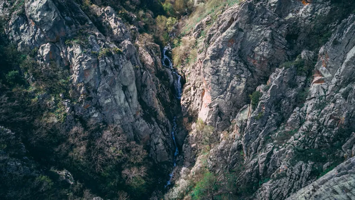 प्रतीकात्मक तस्वीर- India TV Hindi