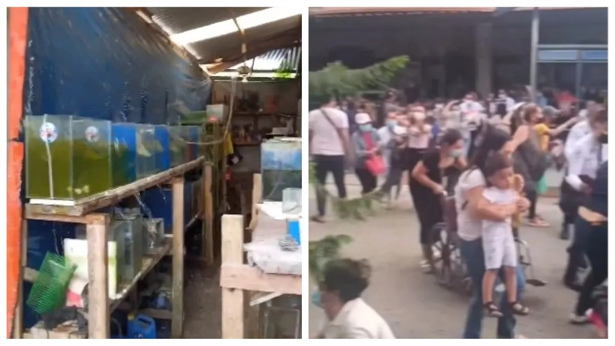 Earthquake: 7.6 तीव्रता के भूकंप के झटकों से हिली इस देश की धरती, सामने आए खौफनाक VIDEO फिलीपींस में भूकंप- India TV Hindi