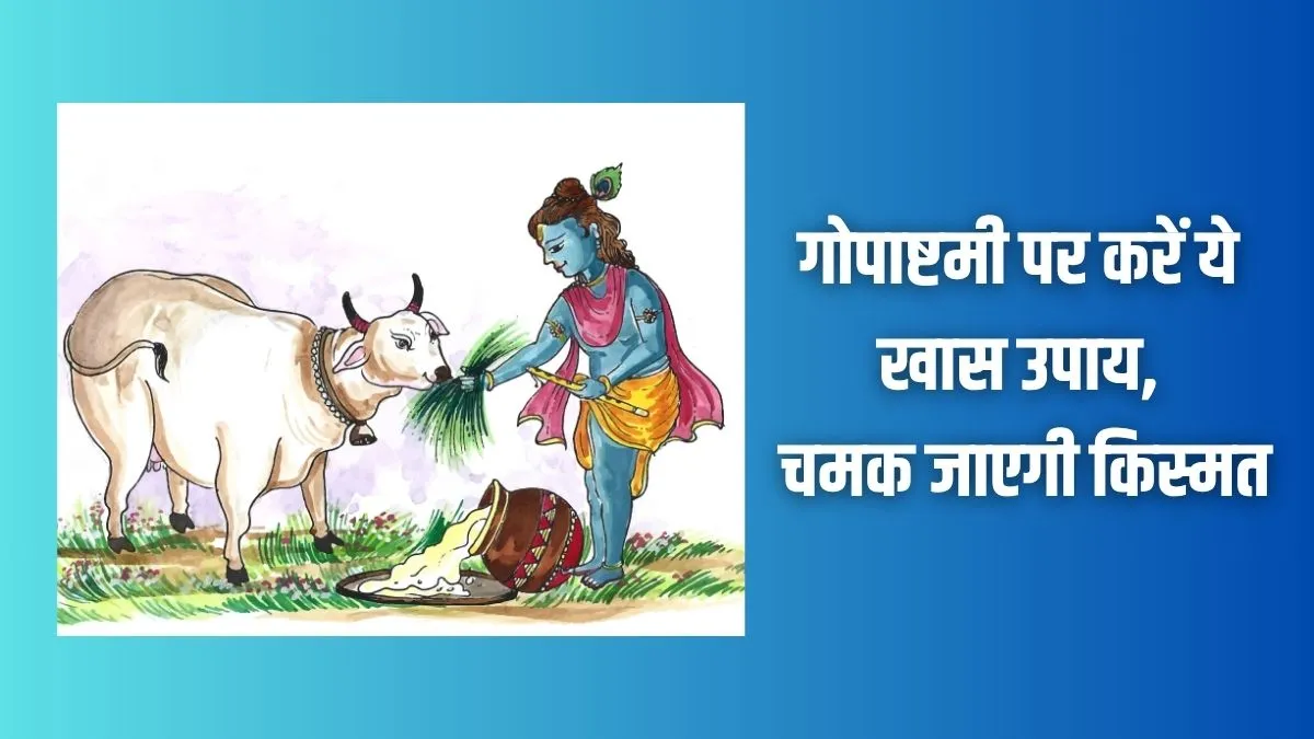 Gopashtami Ke Upay: गोपाष्टमी के दिन करें ये उपाय, चमक जाएगी किस्मत, धन-समृद्धि की नहीं होगी कमी gopashtami- India TV Hindi
