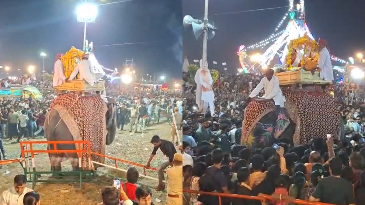 Video: कोटा में रावण दहन के दौरान बेकाबू हुआ हाथी, भगवान लक्ष्मीनारायण की सवारी में मची भगदड़