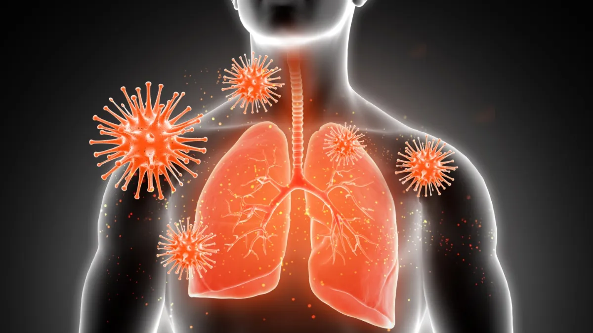 फेफड़े हेल्दी हैं या अनहेल्दी दोनों के बीच के अंतर को कैसे पहचानें, Healthy Lungs के लिए रोजाना करें ये काम फेफड़े हेल्दी हैं या अनहेल्दी - India TV Hindi