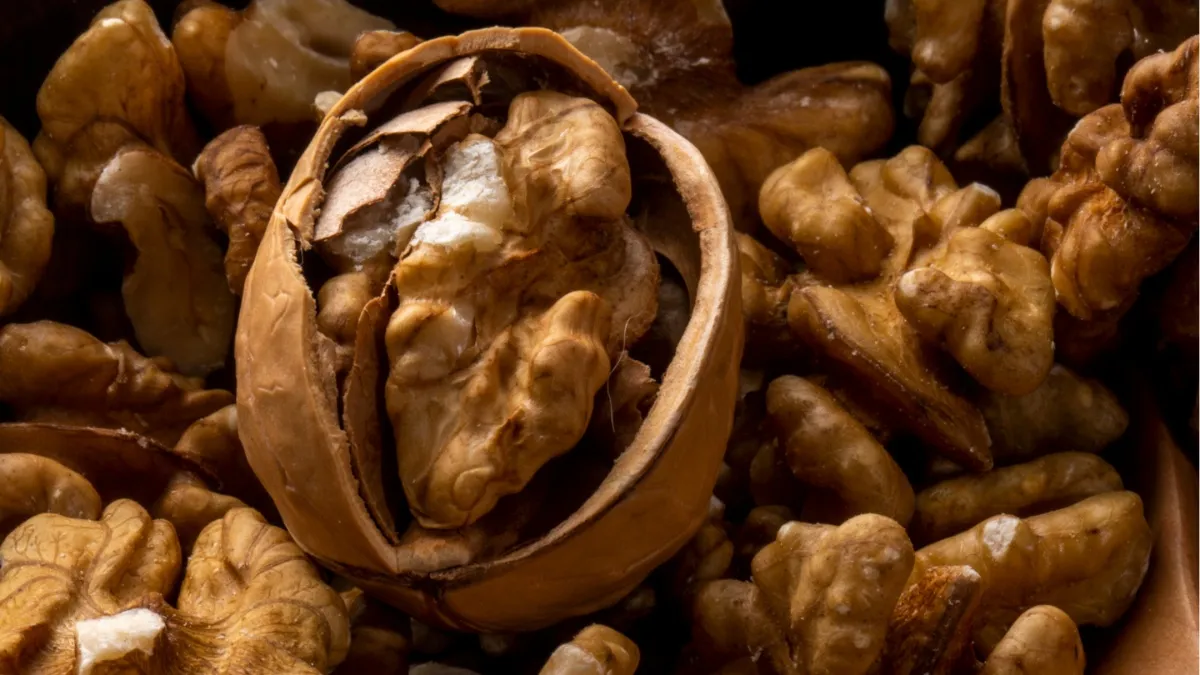 सुबह खाली पेट भीगे हुए अखरोट खाने से क्या होता है? जानें डॉक्टर क्यों देते हैं इसे रोजाना खाने की सलाह भीगे हुए अखरोट - India TV Hindi