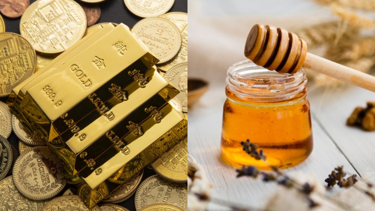 2.6 KG सोना, 5 किलो की चांदी, लाखों का कैश जब्त… फार्म हाउस से मिला 17 टन शहद, रिटायर्ड PWD इंजीनियर के घर छापेमारी