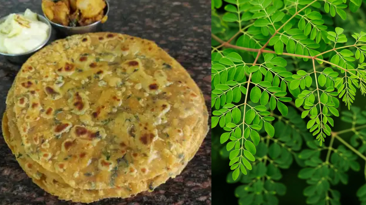 सहजन के पत्तों से बनाएं खस्ता पराठे, पालक मेथी के पराठे से भी ज्यादा टेस्टी, फटाफट नोट कर लें रेसिपी